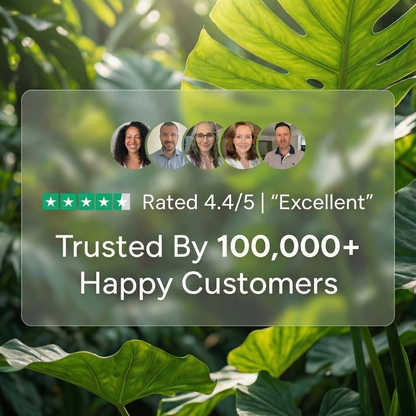 Anti-Sweat Under Arm Patches 20 Pack